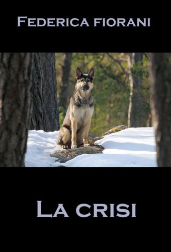 La crisi -racconto di Federica Fiorani